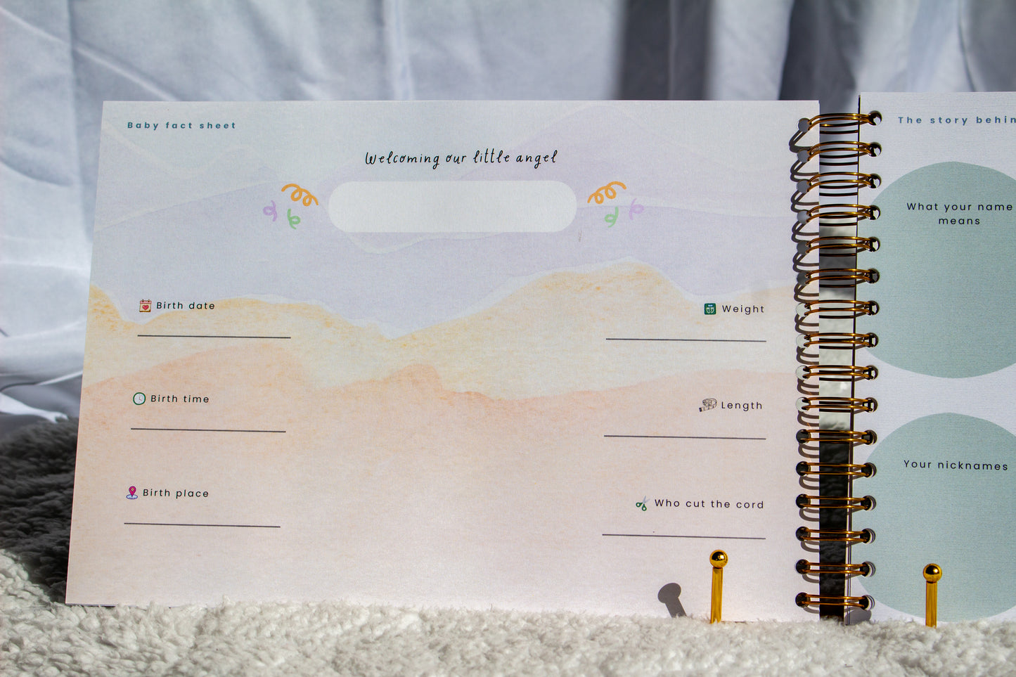 Baby Memory Journal (Sage Green)